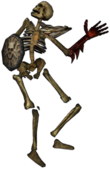 Sura İskeleti 2.png