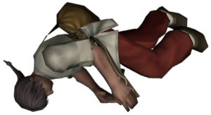 Ginseng Toplayıcısı.png