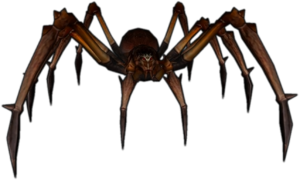 Ölümcül Örümcek 1. Kat.png