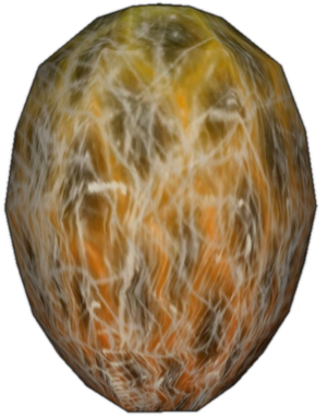 Örümcek Yumurtası (Metin).png