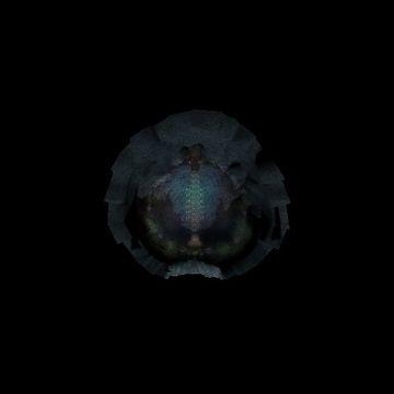 Karanlık Plato Harita.jpg