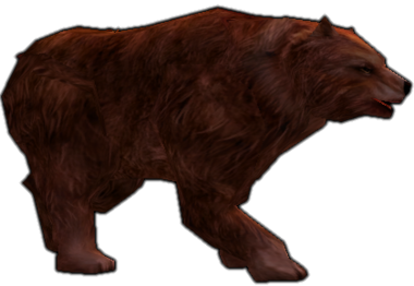 Lanetli Kahverengi Ayı