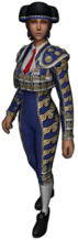 Mavi Torero Savaşçı Kadın.png