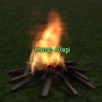 Kamp Ateşi Gif.gif