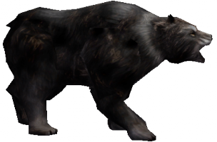 Siyah Ayı.png